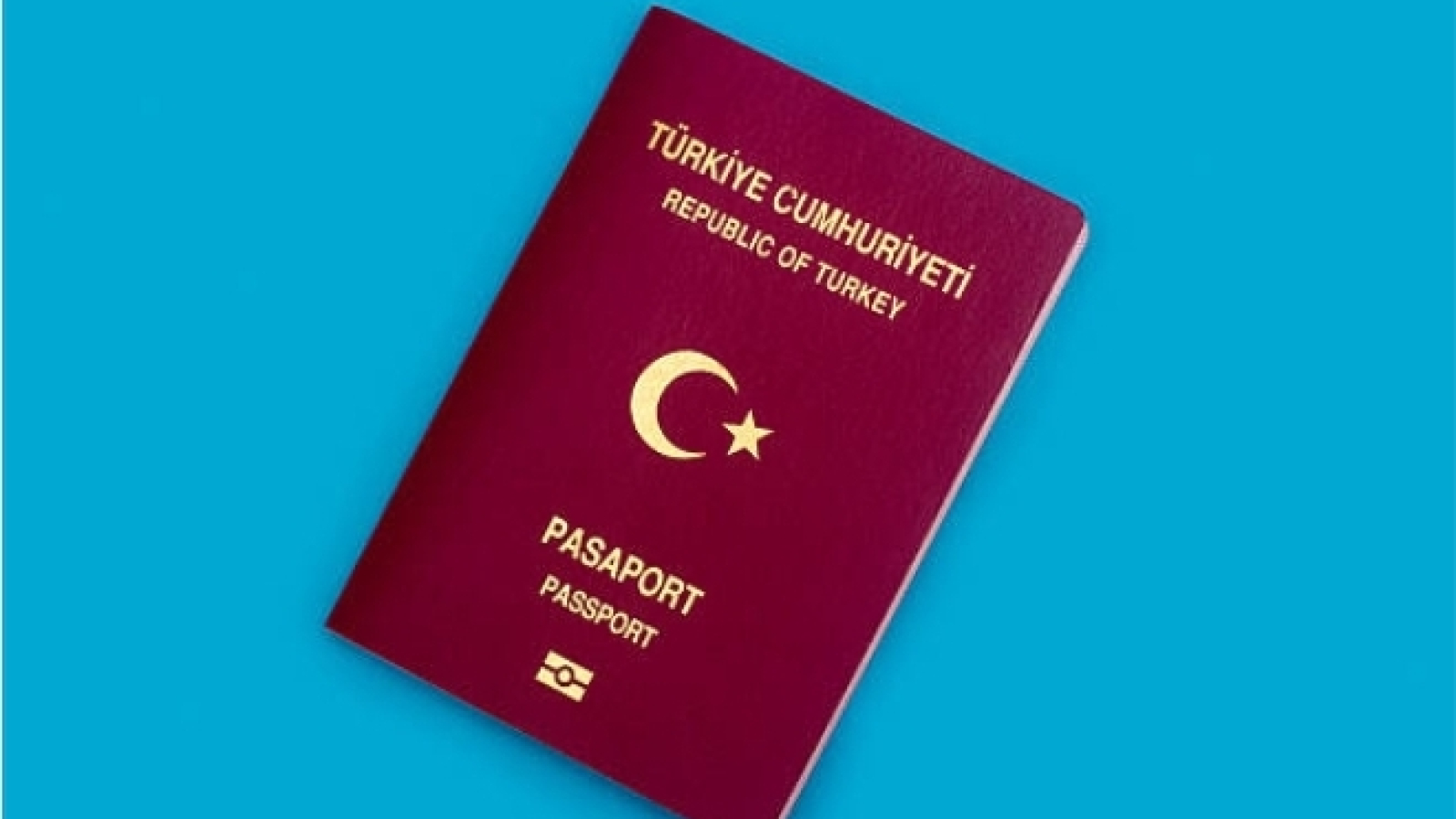 Turkish passport application