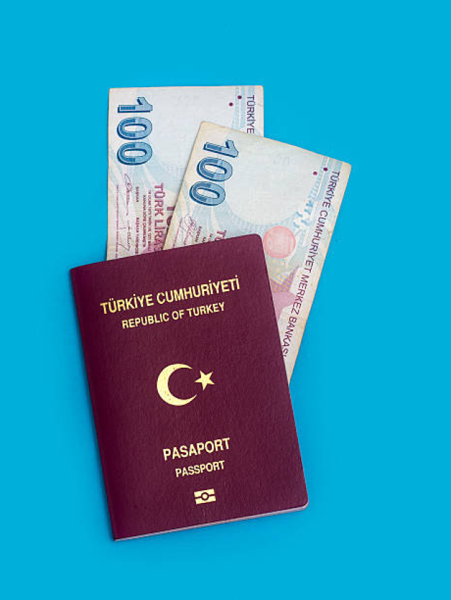 Turkish Passport Application